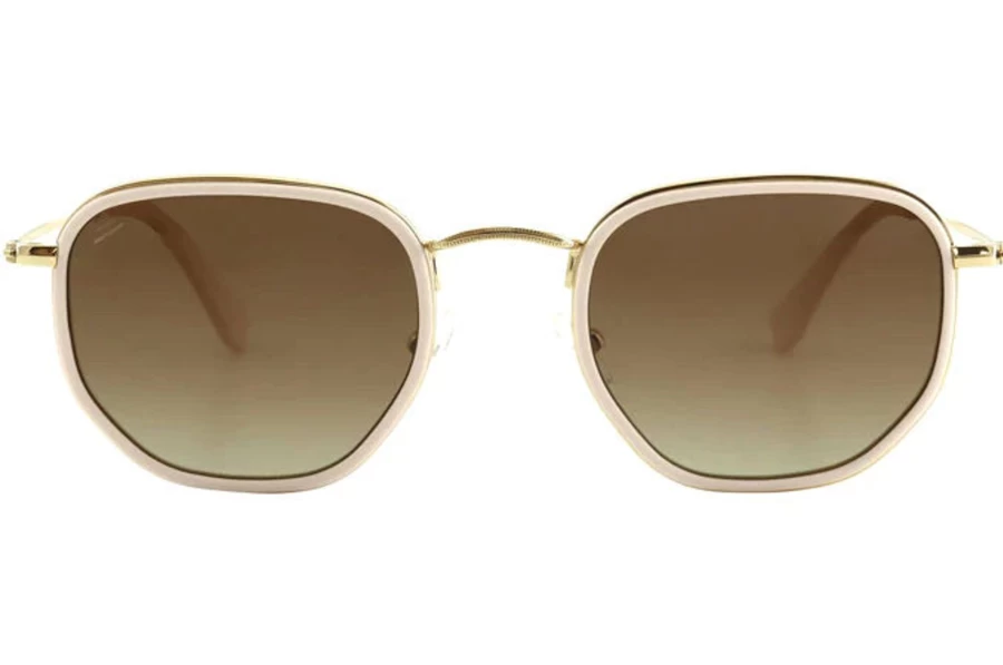 Best Bask Saint Sunglasses, Nude Pink/Brown Gradient Polarised | Bask